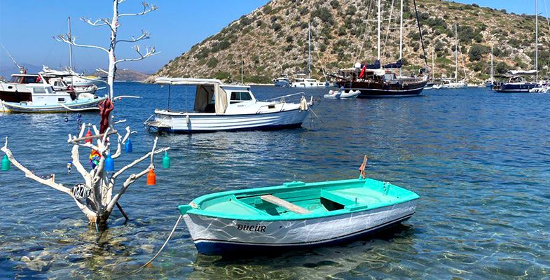 Bodrum Projects